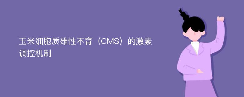 玉米细胞质雄性不育（CMS）的激素调控机制