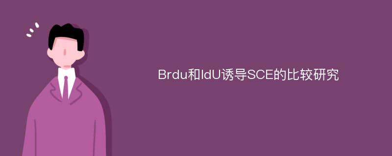 Brdu和IdU诱导SCE的比较研究