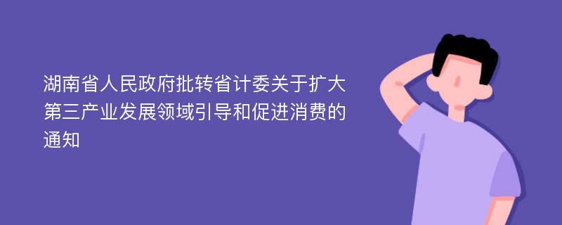 湖南省人民政府批转省计委关于扩大第三产业发展领域引导和促进消费的通知