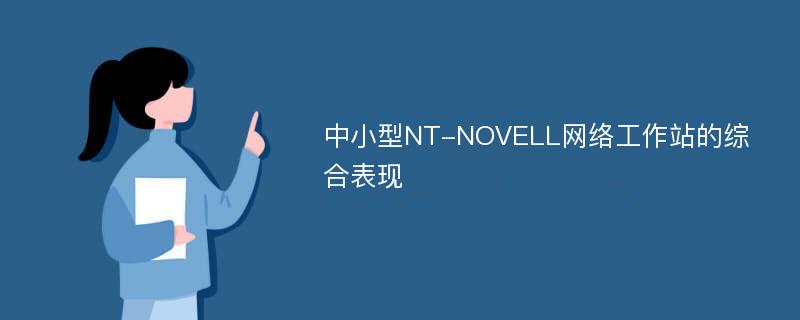 中小型NT-NOVELL网络工作站的综合表现