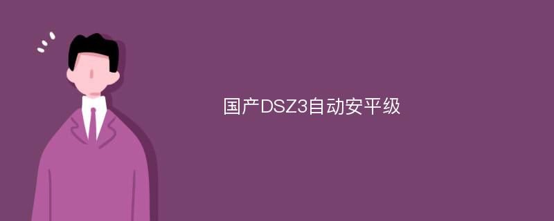 国产DSZ3自动安平级