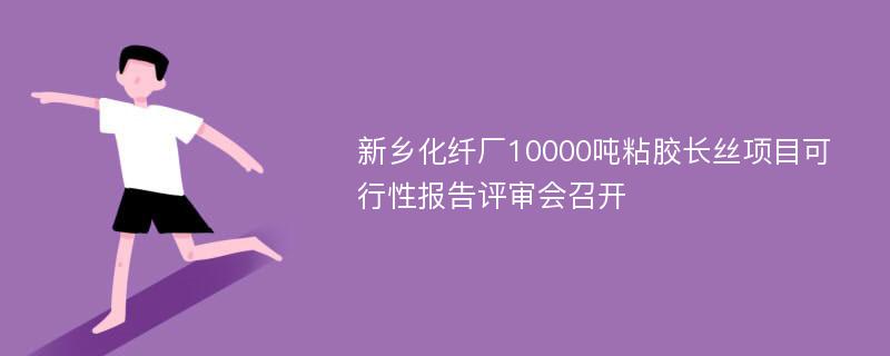 新乡化纤厂10000吨粘胶长丝项目可行性报告评审会召开